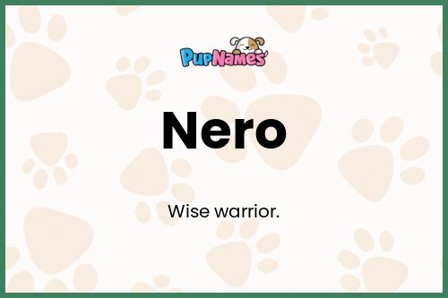 Nero dog name meaning