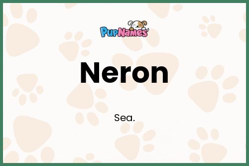 Neron dog name meaning