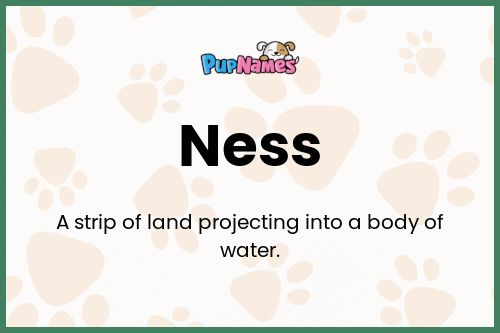 Ness dog name meaning