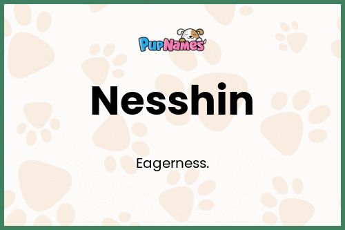 Nesshin dog name meaning