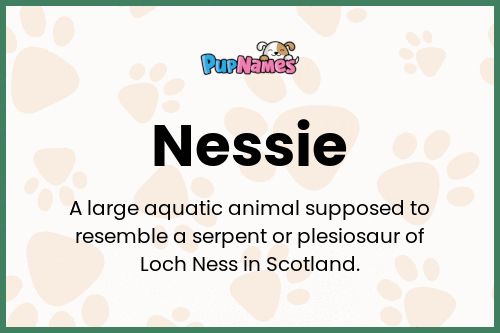 Nessie dog name meaning