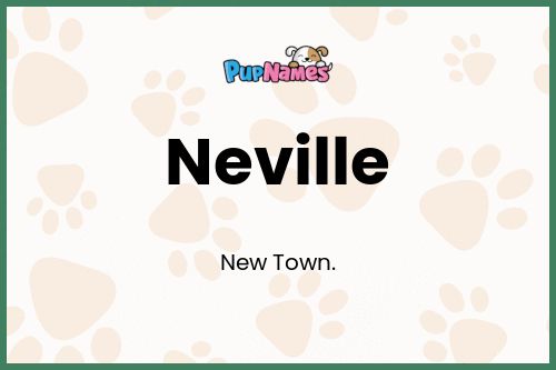 Neville dog name meaning