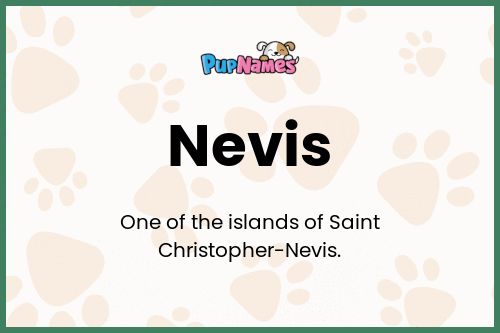 Nevis dog name meaning