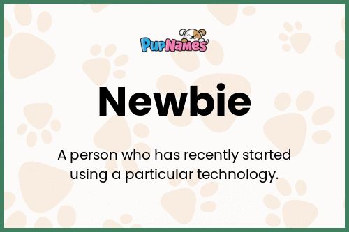 Newbie dog name meaning