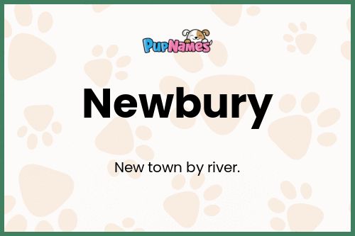 Newbury dog name meaning