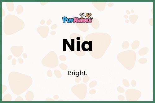 Nia dog name meaning