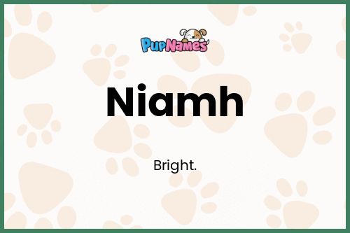 Niamh dog name meaning