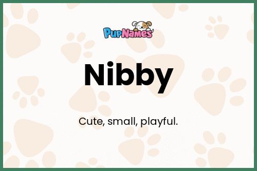 Nibby dog name meaning