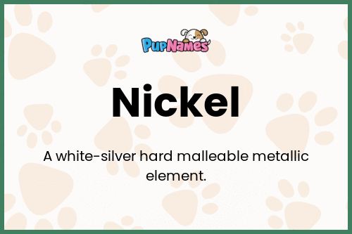 Nickel dog name meaning