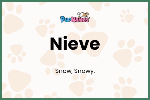 Nieve dog name meaning