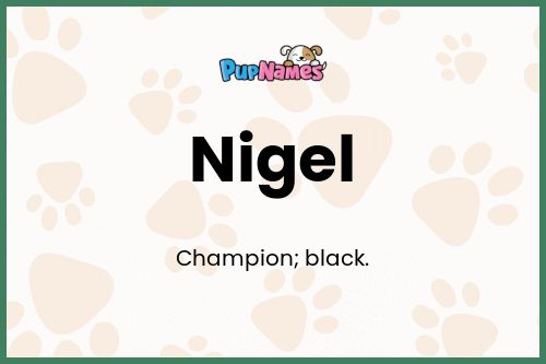 Nigel dog name meaning