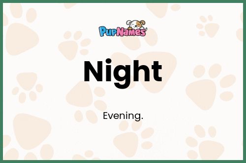 Night dog name meaning