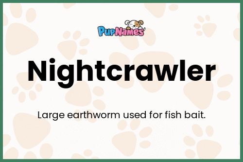 Nightcrawler dog name meaning