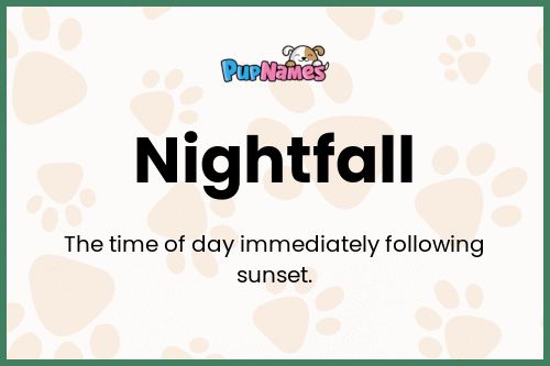 Nightfall dog name meaning