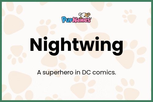 Nightwing dog name meaning