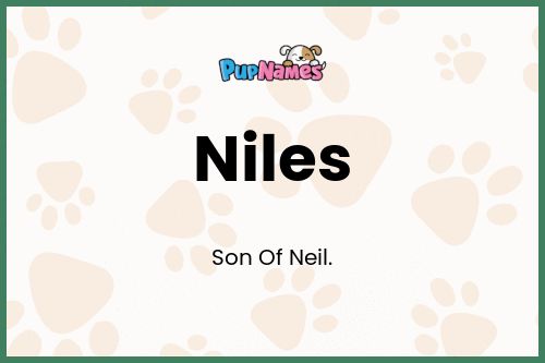 Niles dog name meaning