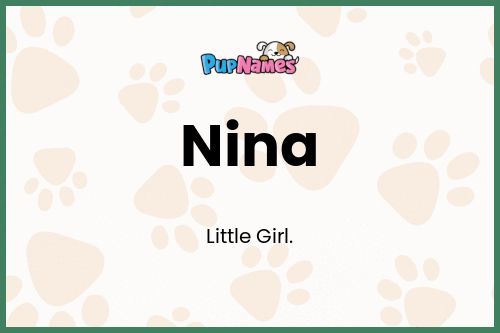 Nina dog name meaning