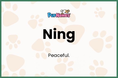 Ning dog name meaning