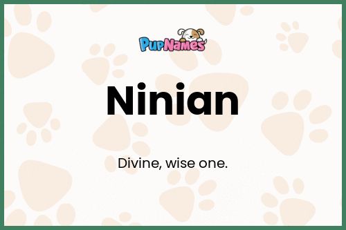 Ninian dog name meaning