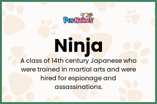 Ninja dog name meaning