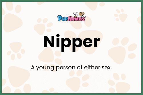 Nipper dog name meaning