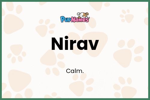 Nirav dog name meaning