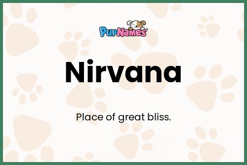 Nirvana dog name meaning