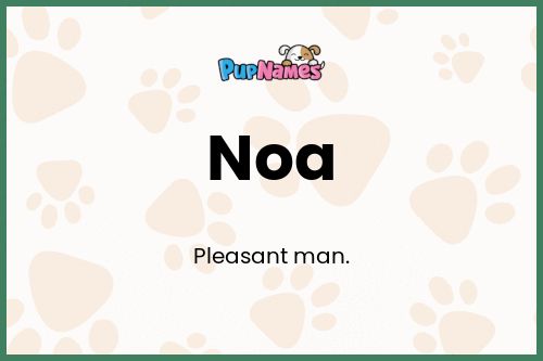 Noa dog name meaning