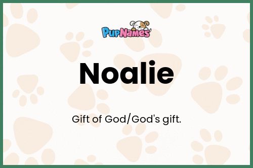 Noalie dog name meaning