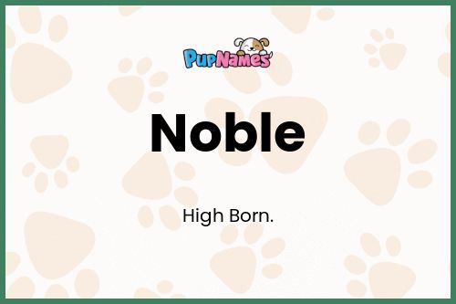 Noble dog name meaning