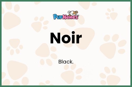 Noir dog name meaning