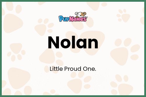 Nolan dog name meaning