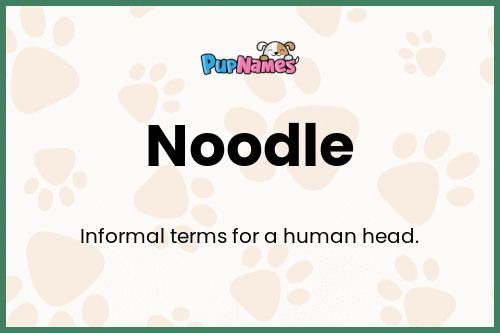 Noodle dog name meaning