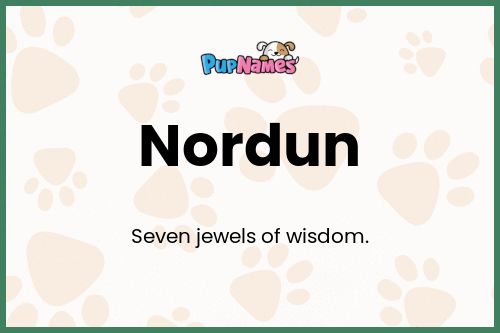 Nordun dog name meaning