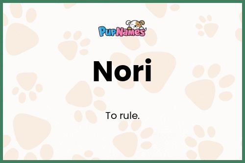 Nori dog name meaning