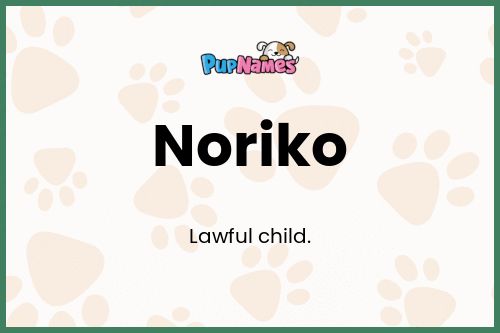 Noriko dog name meaning