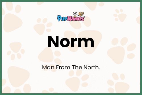 Norm dog name meaning