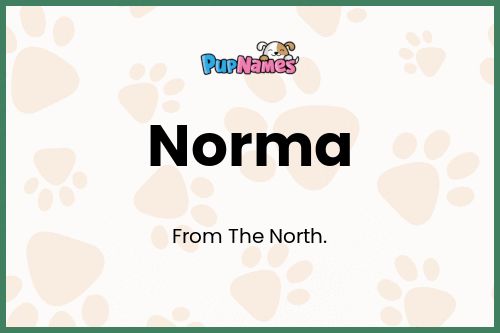 Norma dog name meaning