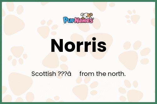 Norris dog name meaning