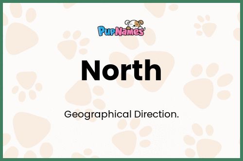 North dog name meaning