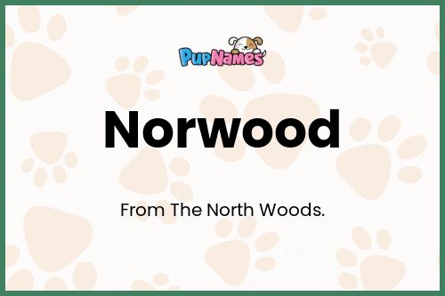 Norwood dog name meaning