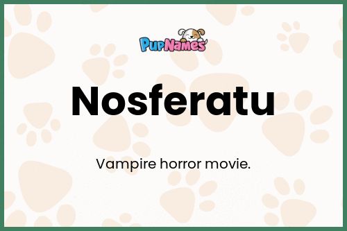 Nosferatu dog name meaning