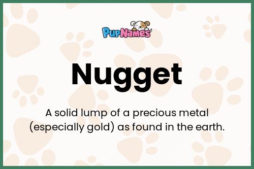 Nugget dog name meaning