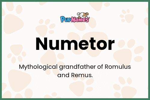 Numetor dog name meaning