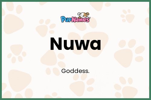 Nuwa dog name meaning