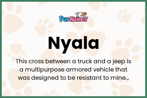 Nyala dog name meaning