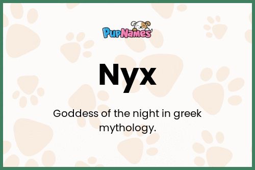 Nyx dog name meaning