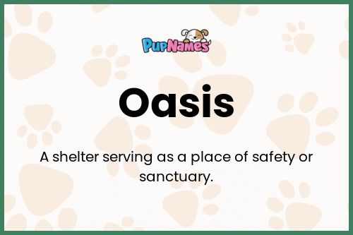 Oasis dog name meaning