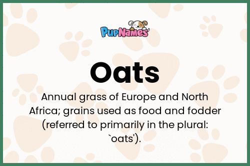 Oats dog name meaning