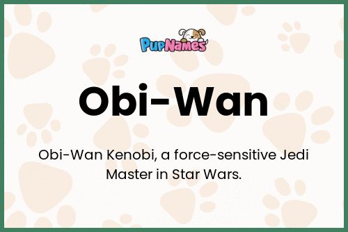 Obi-Wan dog name meaning